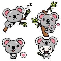 lindo diseño de paquete de personajes koala vector