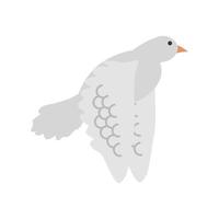 flying dove bird vector