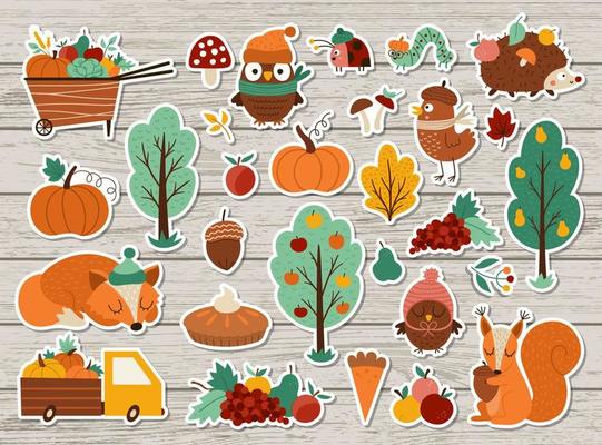 Vector autumn stickers set. Fall patches collection with cute forest animals, trees, birds on wooden background. Fall holiday patches pack with garden elements, harvest, fruit, vegetables