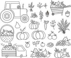 Autumn black and white harvest set. Vector line farm vegetables, fruit and berry collection with pumpkins, carrot, apple, cabbage, corn, pear, grapes. Funny fall outline illustration