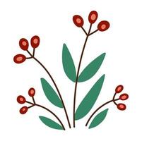 Vector autumn berry bush icon. Fall plant illustration. Floral clipart. Cute flat nursery bed isolated on white background