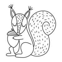 Cute black and white squirrel with acorn. Vector autumn character isolated on white background. Fall season woodland animal line icon.  Funny forest or Thanksgiving Day outline illustration.