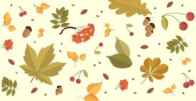 Abstract autumn web background template with many different leaves - Vector