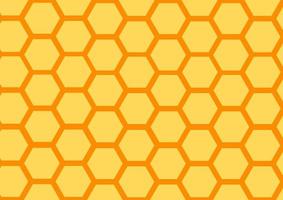 honeycomb background with natural theme vector
