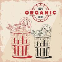 Baskets with organic vegetables icon set vector