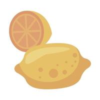 lemon citrus fruit vector