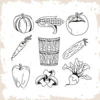 colección de iconos de verduras saludables y orgánicas vector