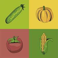 colección de símbolos de verduras saludables y orgánicas vector