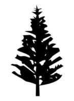 tree pine silhouette vector