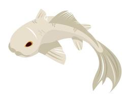 white koi fish vector