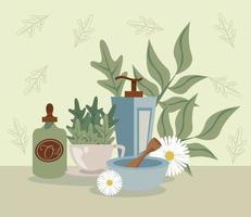 aromatherapy with oil vector