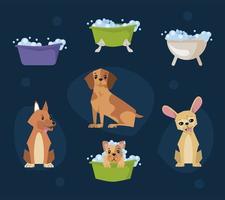 dogs cartoons bathing collection vector