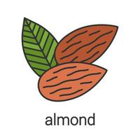 icono de color almendra. aromatizantes, condimentos. ilustración vectorial aislada vector