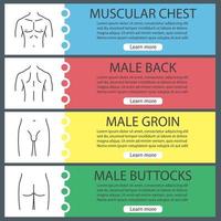 Male body parts web banner templates set. Muscular chest, back, groin, buttocks. Website color menu items with linear icons. Vector headers design concepts