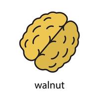 Walnut color icon. Hazelnut. Flavoring, seasoning. Isolated vector illustration