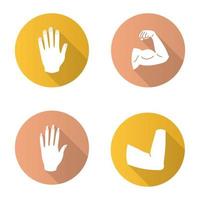 Body parts flat design long shadow glyph icons set. Male and female hands, muscular bicep, elbow joint. Vector silhouette illustration