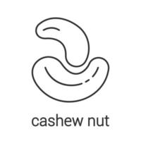 Cashew nut linear icon. Thin line illustration. Contour symbol. Vector isolated outline drawing