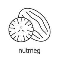 Nutmeg linear icon. Thin line illustration. Contour symbol. Vector isolated outline drawing