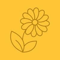 Camomile linear icon. Thin line outline symbols on color background. Vector illustration