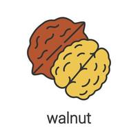 Walnut color icon. Hazelnut. Flavoring, seasoning. Isolated vector illustration