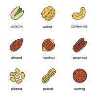 Nuts types color icons set. Pistachio, walnut, cashew and pecan nuts, almond, hazelnut, pinenuts, peanut, nutmeg. Isolated vector illustrations