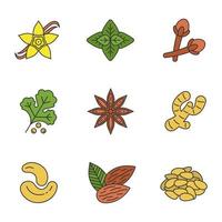 Spices color icons set. Seasonings, flavorings. Vanilla flower, basil, clove, coriander, anise, ginger, cashew nuts, almond, pinenuts. Isolated vector illustrations