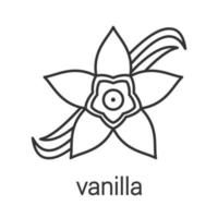 Vanilla flower linear icon. Flavoring, seasoning. Thin line illustration. Contour symbol. Vector isolated outline drawing