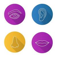 Facial body parts flat linear long shadow icons set. Eye, nose, ear, lips. Vector outline illustration