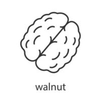 Walnut linear icon. Thin line illustration. Contour symbol. Vector isolated outline drawing