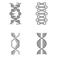 DNA spiral chains linear icons set. Deoxyribonucleic, nucleic acid helix. Molecular biology. Genetic code. Genetics. Thin line contour symbols. Isolated vector outline illustrations. Editable stroke