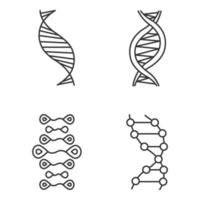 Conjunto de iconos lineales de hebras de adn. desoxirribonucleico, hélice de ácido nucleico. Biología Molecular. codigo genetico. genética. símbolos de contorno de línea fina. ilustraciones de contorno de vector aislado. trazo editable