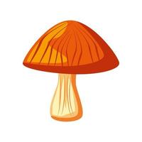 mushroom vegetable icon vector
