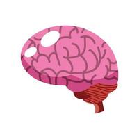 human brain organ vector