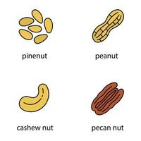 Nuts types color icons set. Pinenut, peanut, cashew, pecan nut. Isolated vector illustrations