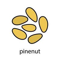 Pinenuts color icon. Isolated vector illustration