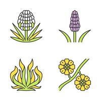 Conjunto de iconos de colores de plantas del desierto vector