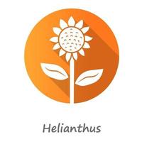 Helianthus naranja diseño plano icono de glifo de sombra larga. cabeza de girasol con inscripción de nombre. campo de flores en flor. símbolo de la agricultura. flor de verano de plantas silvestres. ilustración de silueta de vector