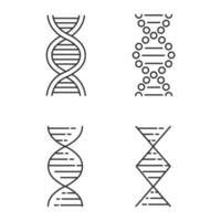 DNA spiral strands linear icons set. Deoxyribonucleic, nucleic acid helix. Molecular biology. Genetic code. Genetics. Thin line contour symbols. Isolated vector outline illustrations. Editable stroke