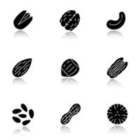 Nuts types drop shadow black glyph icons set. Pistachio, walnut, cashew and pecan nuts, almond, hazelnut, pinenuts, peanut, nutmeg. Isolated vector illustrations