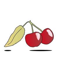 a vector image of 2 cherries with their leaves on a white background. fruit and food business