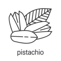 Pistachio linear icon. Thin line illustration. Contour symbol. Vector isolated outline drawing