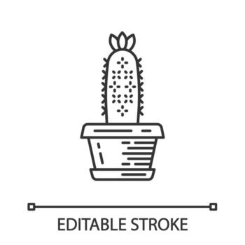 cactus erizo en icono lineal de olla vector