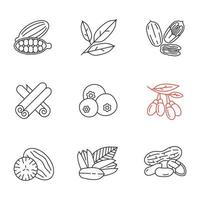 Spices linear icons set. Thin line contour symbols. Cardamom, bay leaves, pecan nut, cinnamon, allspice, goji berries, nutmeg, pistachio, peanut. Isolated vector outline illustrations