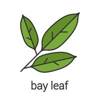 Bay leaf color icon. Isolated vector illustration