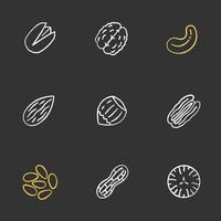 Nuts types chalk icons set. Pistachio, walnut, cashew and pecan nuts, almond, hazelnut, pinenuts, peanut, nutmeg. Isolated vector chalkboard illustrations