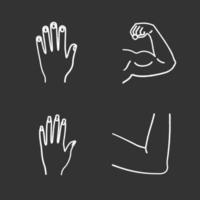 Conjunto de iconos de tiza de partes del cuerpo humano. manos masculinas y femeninas, bíceps musculares, articulación del codo. ilustraciones de pizarra vector aislado