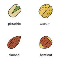 Nuts types color icons set. Pistachio, walnut, almond, hazelnut. Isolated vector illustrations