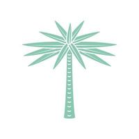 palm tree tropical vector