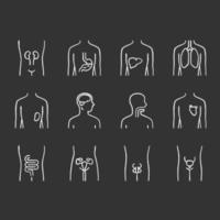 Conjunto de iconos de tiza de órganos humanos sanos. intestinos y vejiga urinaria en buen estado de salud. funcionamiento de los sistemas reproductivos de hombres y mujeres. partes del cuerpo en buena forma. ilustraciones de pizarra vector aislado