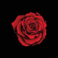 Red Rose Flower Vector Artwork